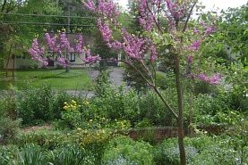 Front view looking out