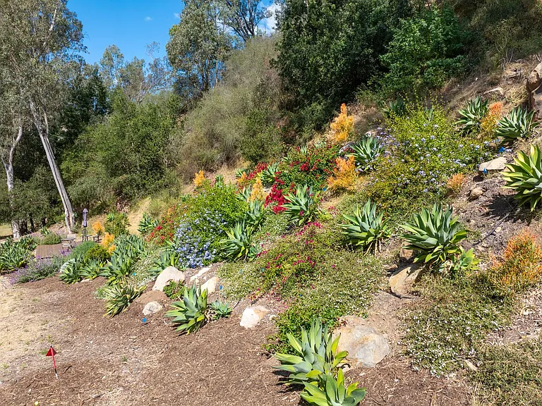 655 Coyote Rd — Photo 37