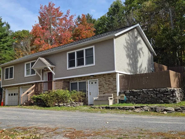 914 Dimmick Mountain Rd, Denver, NY 12421