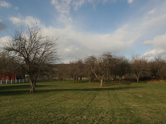 Rear Yard