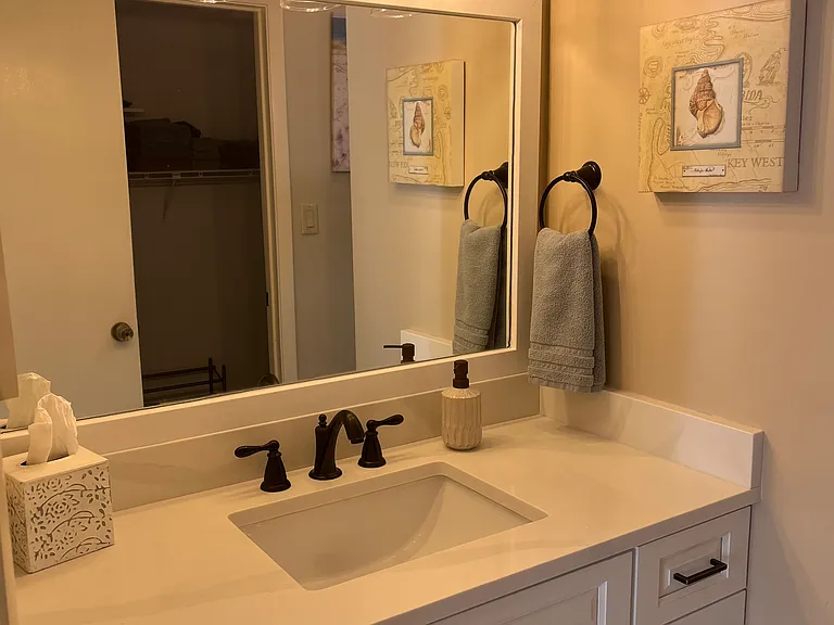 Primary bathroom vanity