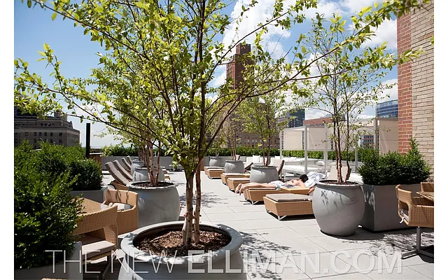 Rented by Douglas Elliman | media 8