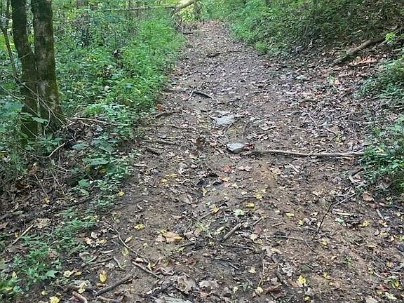 3rd image of 0 Goose Creek Rd