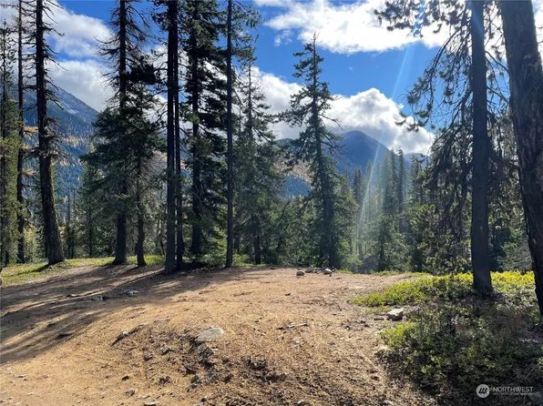 0 XX Mile 74.5 410 hwy, Naches, WA 98937