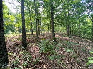 0 Eagle Nest Ln, Big Sandy, TN 38221
