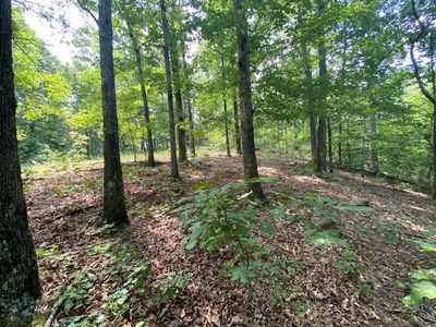 0 Eagle Nest Ln, Big Sandy, TN, 38221