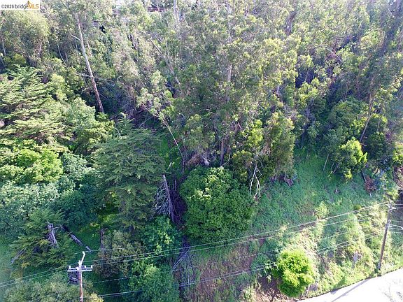 3rd image of Scout Rd