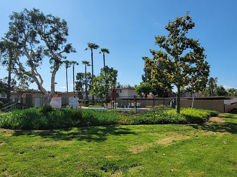 View of swimming pool area with mature trees and landscaping at Plaza Verde Apartments in Escondido, California.