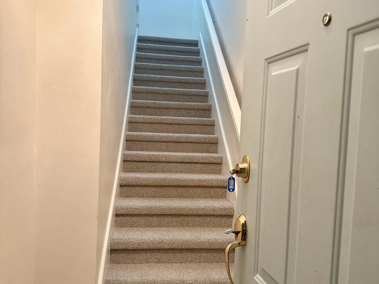 1 bed, 964 sqft, $3,000 — Photo 2