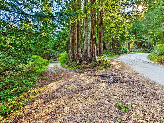 2nd image of 155 Old Ranch Rd