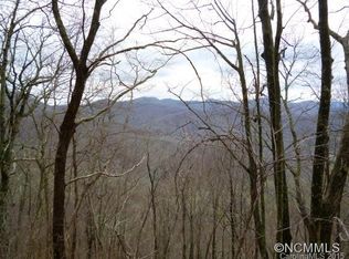 W Eight Bearwallow, Leicester, NC 28748