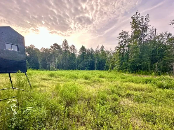 Segno Fire Ln, Livingston, TX 77351