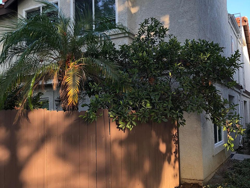 End Unit with Private Side Yard