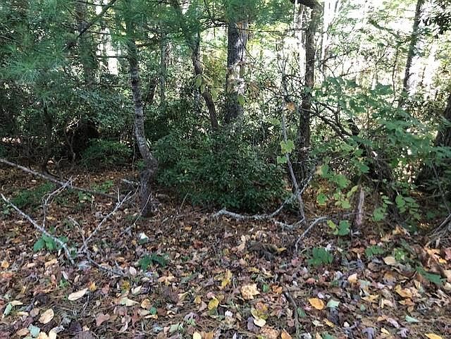 1st image of Swiss Pine Lake Dr