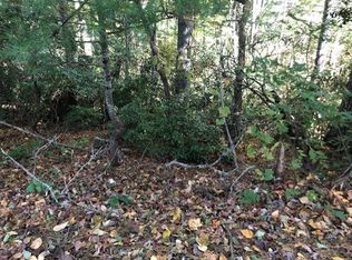 Swiss Pine Lake Dr, Spruce Pine, NC 28777
