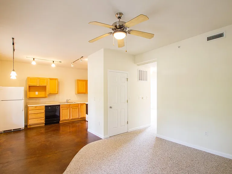 Scholar's Quad Collegiate Apartments — Photo 48