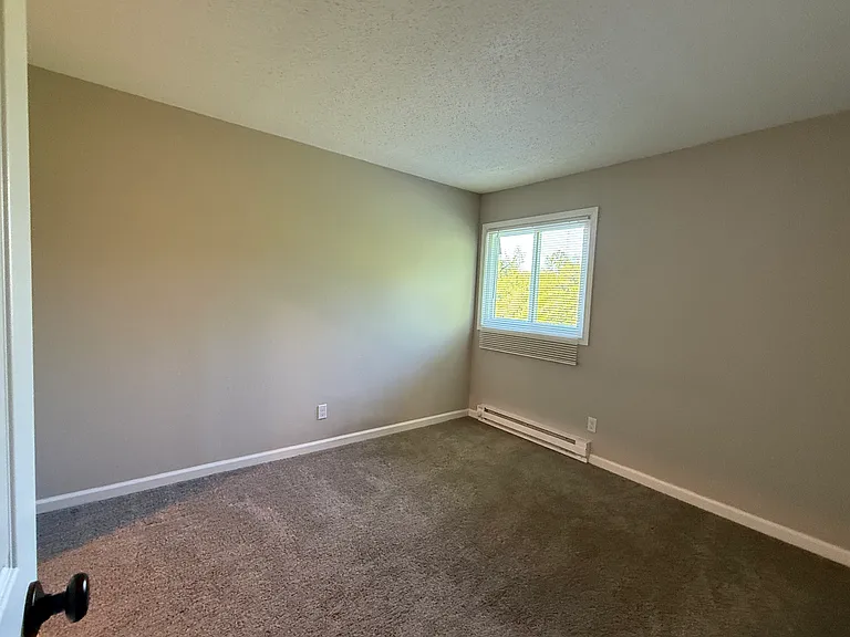 8822 N Lemon Creek Rd #8 — Photo 7