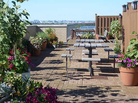 Rented by R New York | media 18