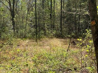 17 Oak View Rd, Whittier, NC 28789