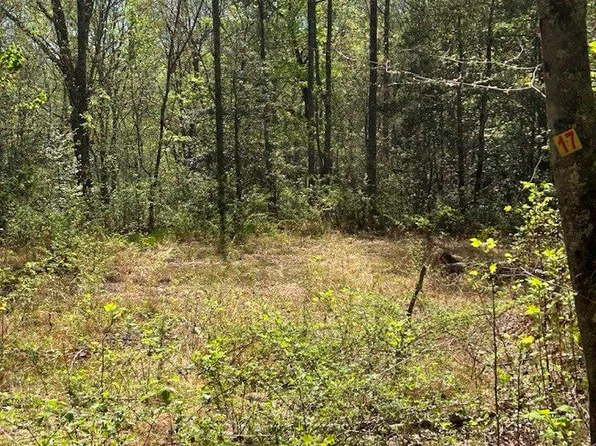 17 Oak View Rd, Whittier, NC 28789