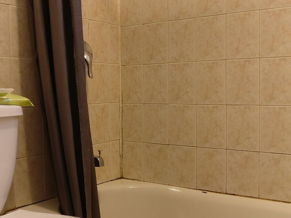 1st image of 6062 Catalpa Ave APT 2R