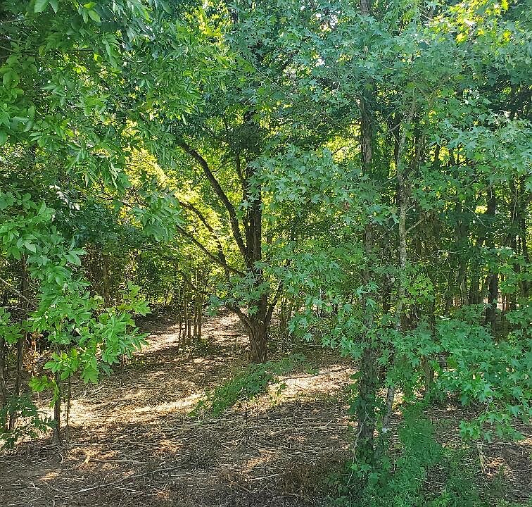 2nd image of 0 Falcon Cir
