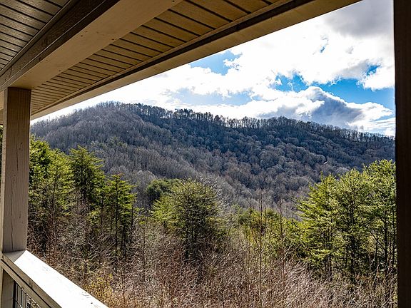 5th image of 226 Shinbone Mountain Rd