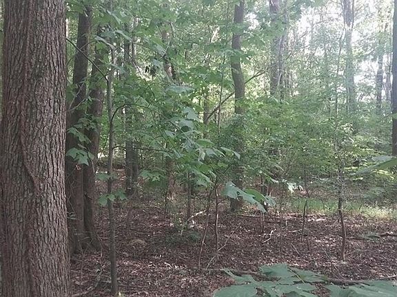 4th image of 0 Duncan Ln