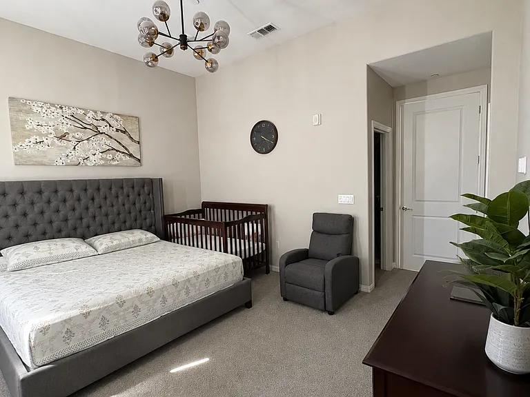 40665 Squill Cmn — Photo 9
