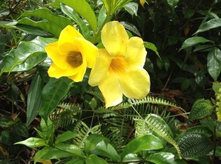 Ainaloa Blvd, Kurtistown, HI 96760
