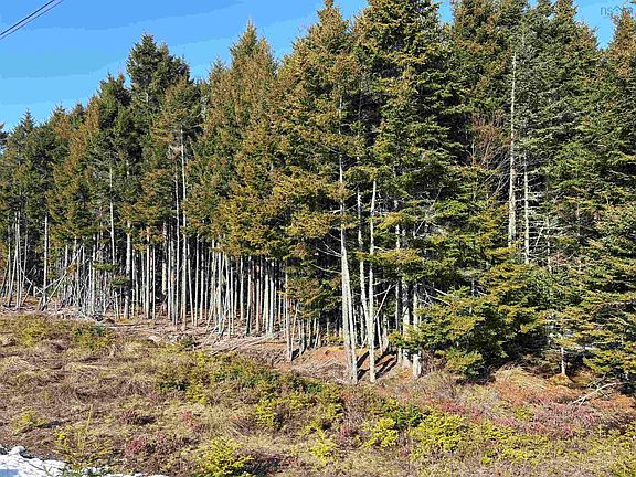 2nd image of 296 Notting Hill Rd