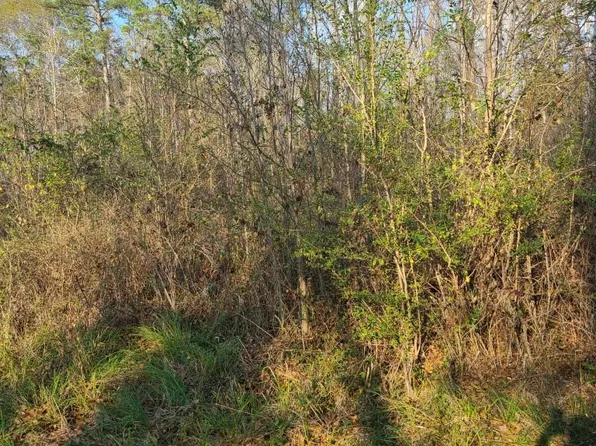 McNair, Meadville, MS 39653