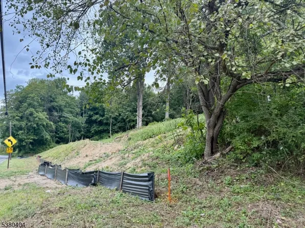 111 Munsonhurst Rd, Franklin Boro, NJ 07416