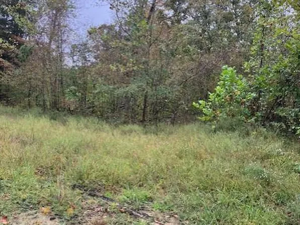 33 Madison St #410, Fredericktown, MO 63645