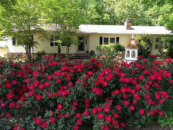 Rose Garden in Front 
