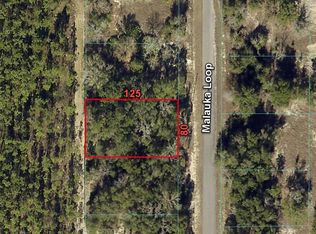 246 Malauka Loop #16, Ocklawaha, FL 32179