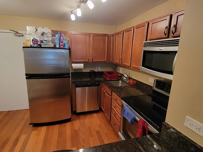 222 E Pearson St #1407 — Photo 8