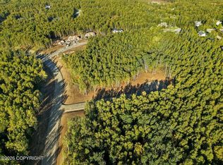 L19-B3 E Beverly Ann Ln, Wasilla, AK 99654