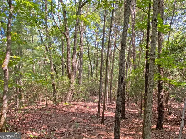 S Jarrard Dr #T, Dahlonega, GA 30533