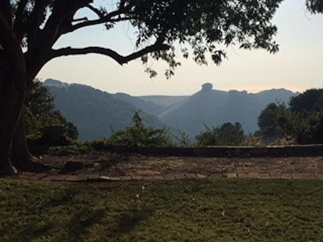 View from backyard
