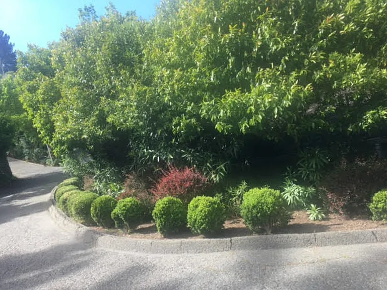 346 Corte Madera Ave #4 — Photo 24