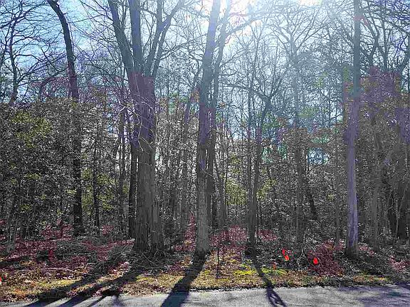 3rd image of 120 E Woodland Ave