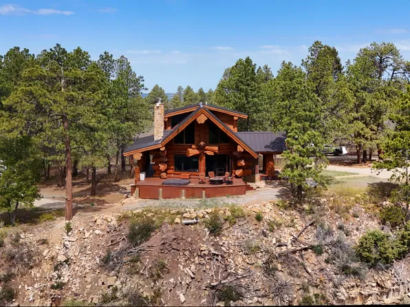 1776 Peninsula Dr, Placerville, CO 81430