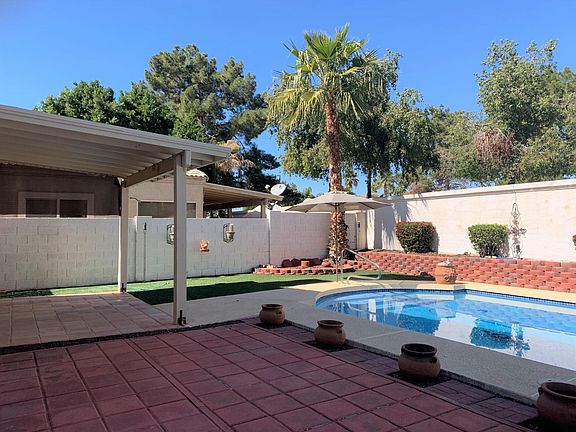 Gorgeous Backyard