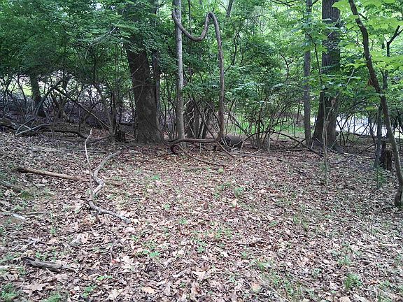 4th image of Frazier Rd