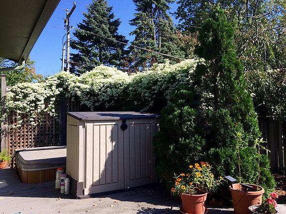Private back deck and spa