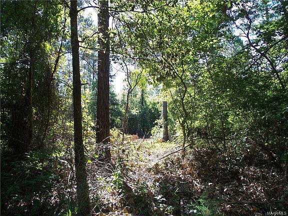 4th image of 402 County Road 82