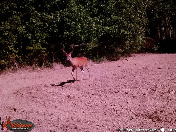 26997 County Road 267, Puxico, MO 63960