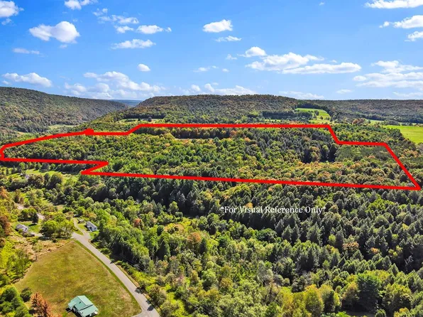 0 Broughton Hollow Rd, Wellsboro, PA 16901