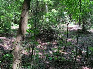 5975 Gates Chapel Rd #1, Ellijay, GA 30540